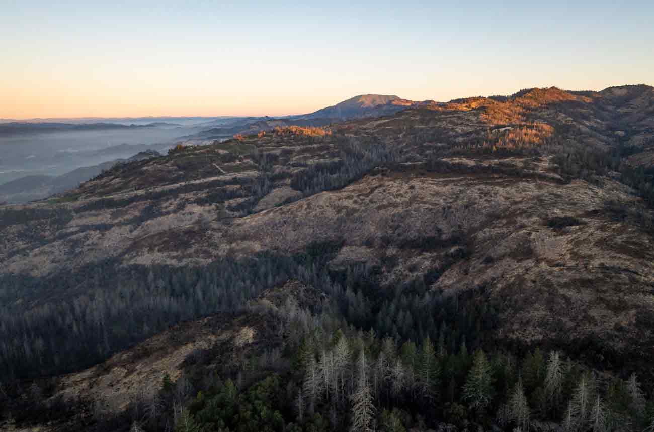 2021 Howell and Diamond Mountain