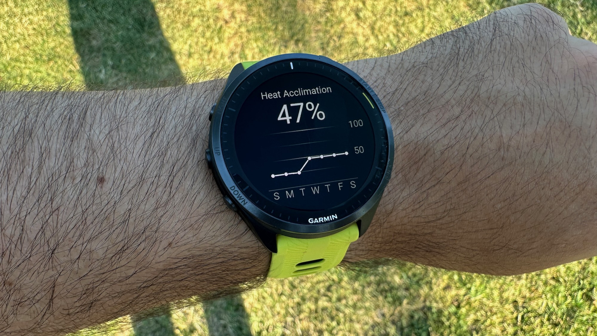 O widget de aclimatação ao calor no Garmin Forerunner 965