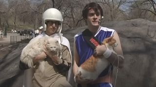 Andy Samberg and Bill Hader in the first Laser Cats short on SNL