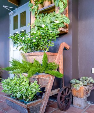 Front porch vertical garden plant display