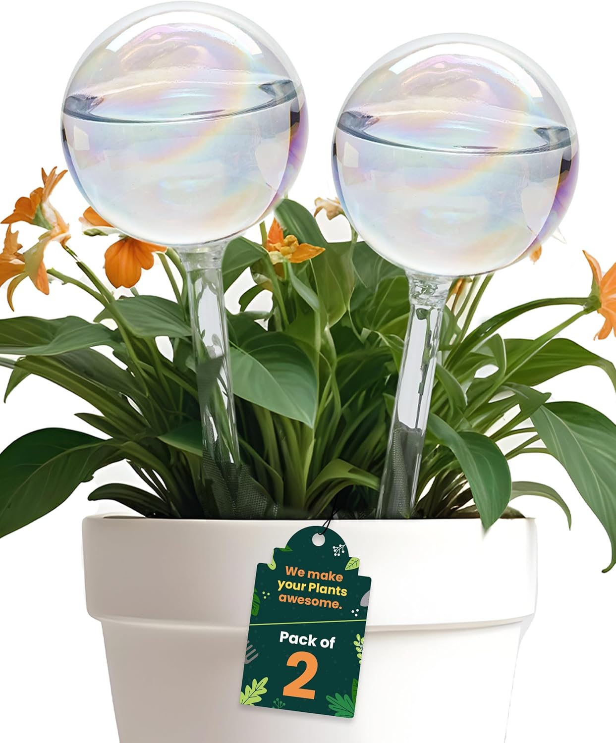Iridescent Self Watering Globes, Glass Rainbow Plant Watering Globes, Self Watering Planter Insert, Automatic Plant Waterer Indoor (medium-2 Pcs Iridescent, Medium)