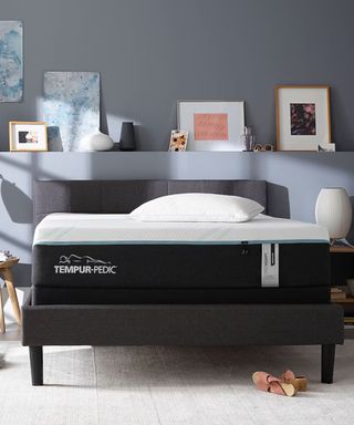 Tempur-Pedic ProAdapt Mattress on a gray bed frame against light gray walls.