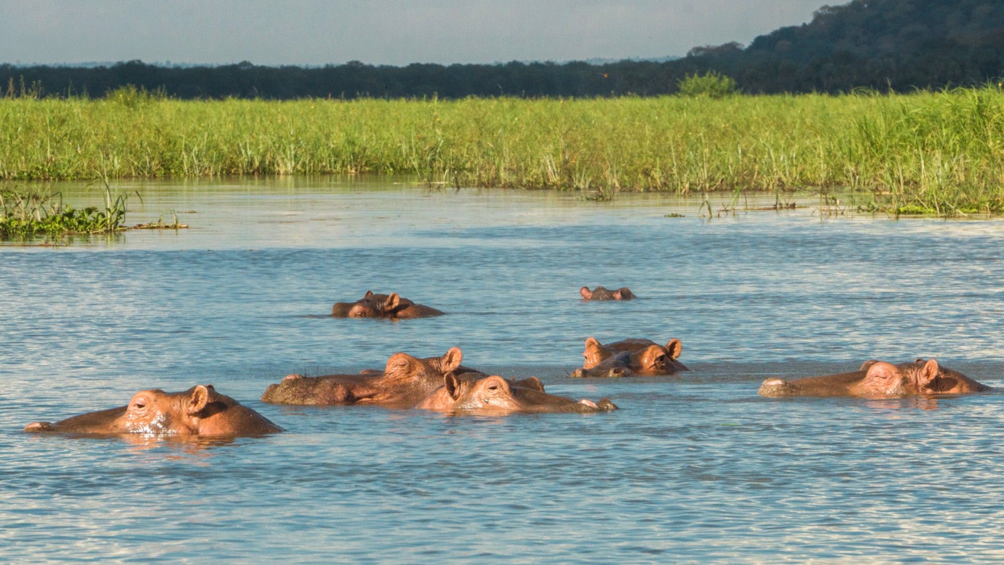 The varied delights of a safari in Malawi