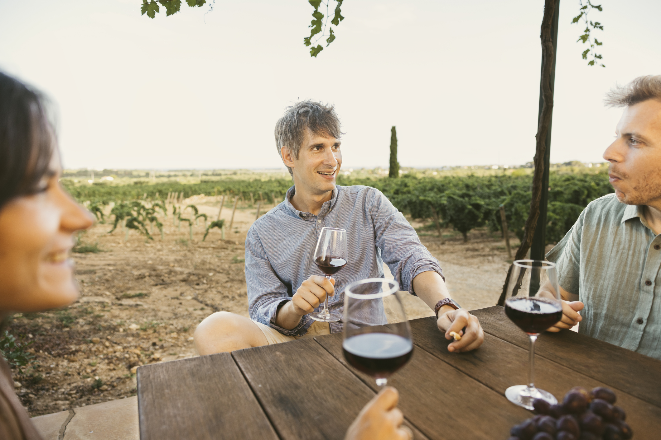 Three friends are sharing a moment of conviviality, tasting wine at a vineyard table