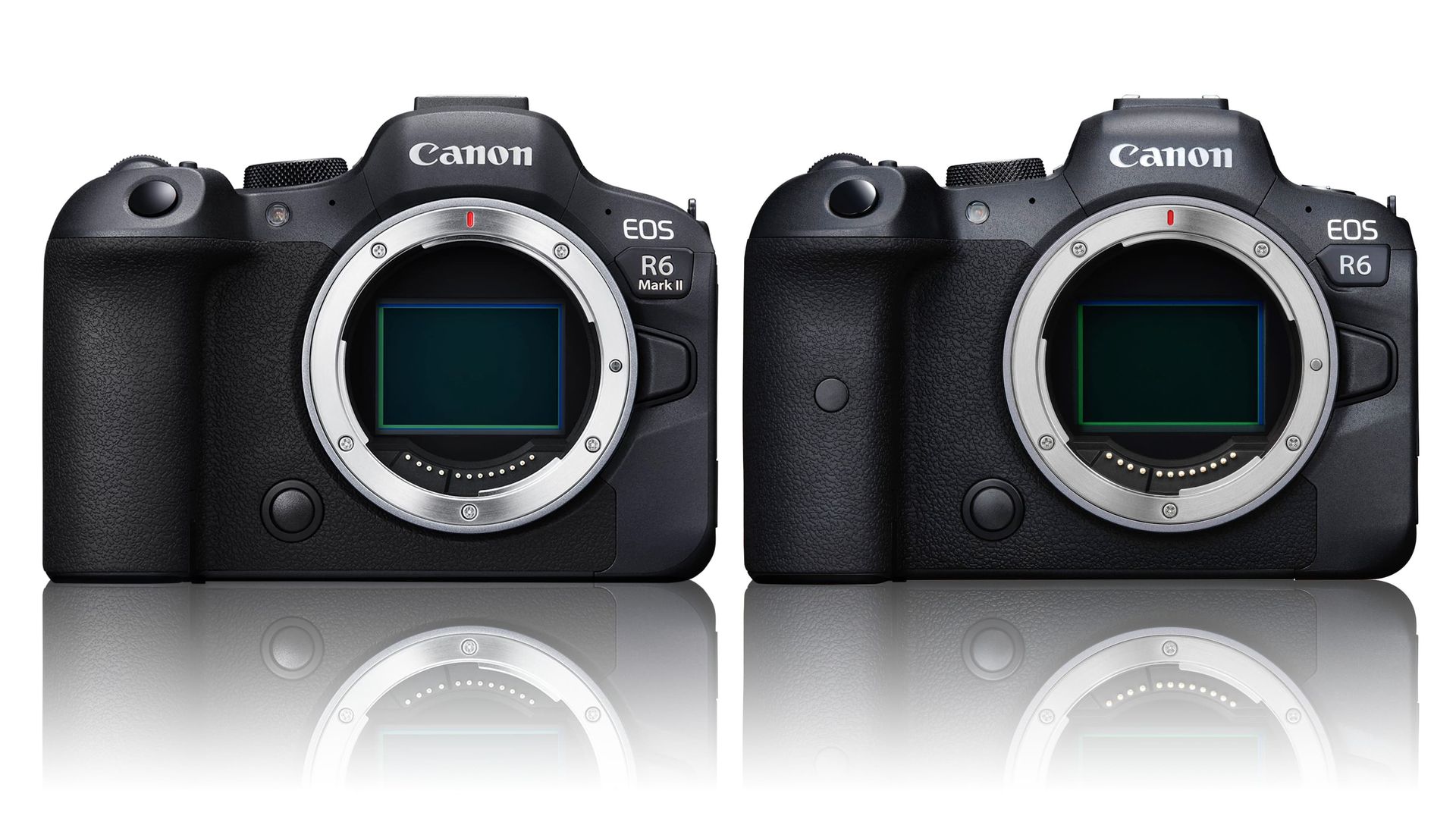 Карта памяти для canon r5