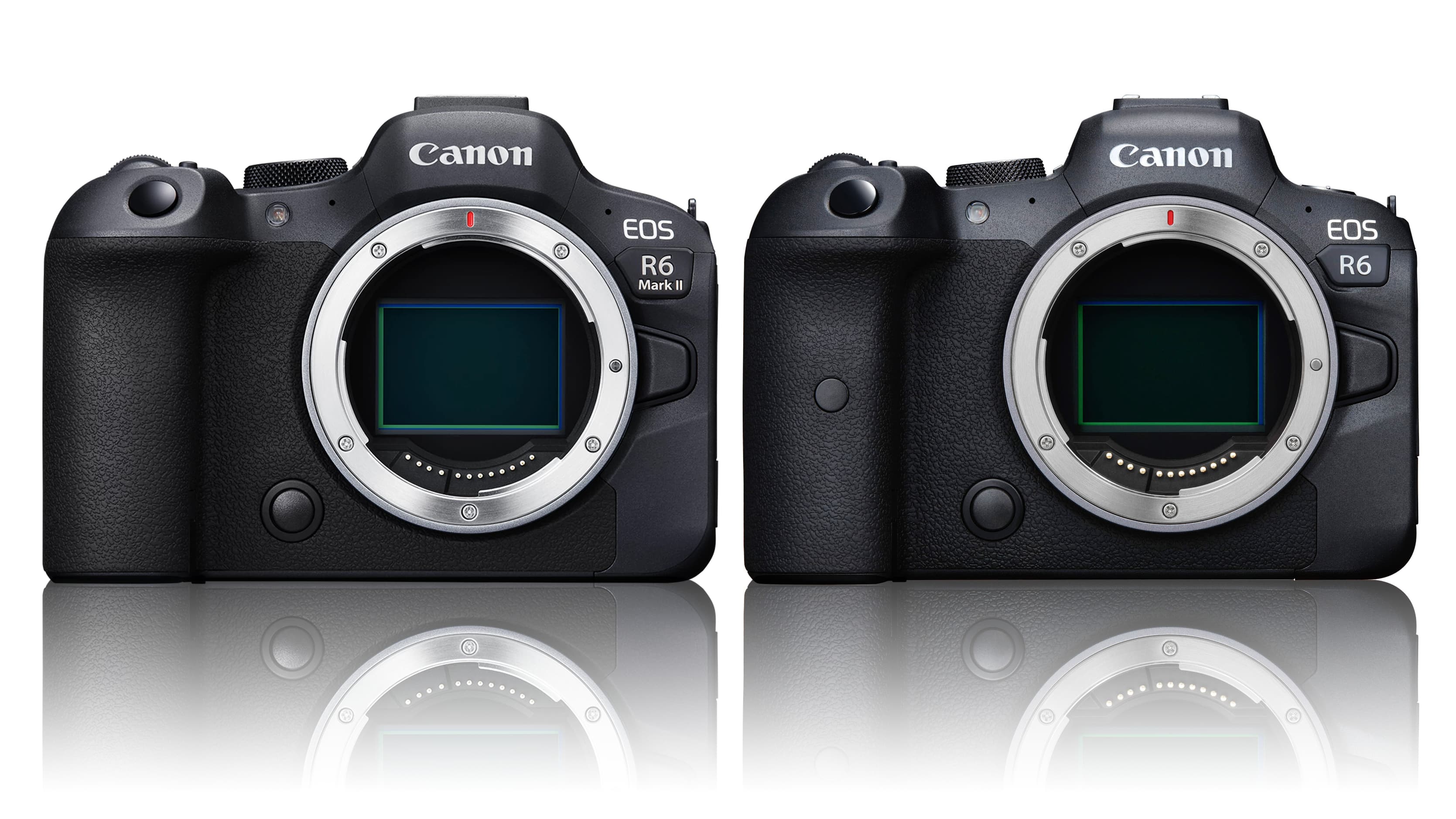 Canon EOS R6 Mark II (Body) – Canon Flagship Store