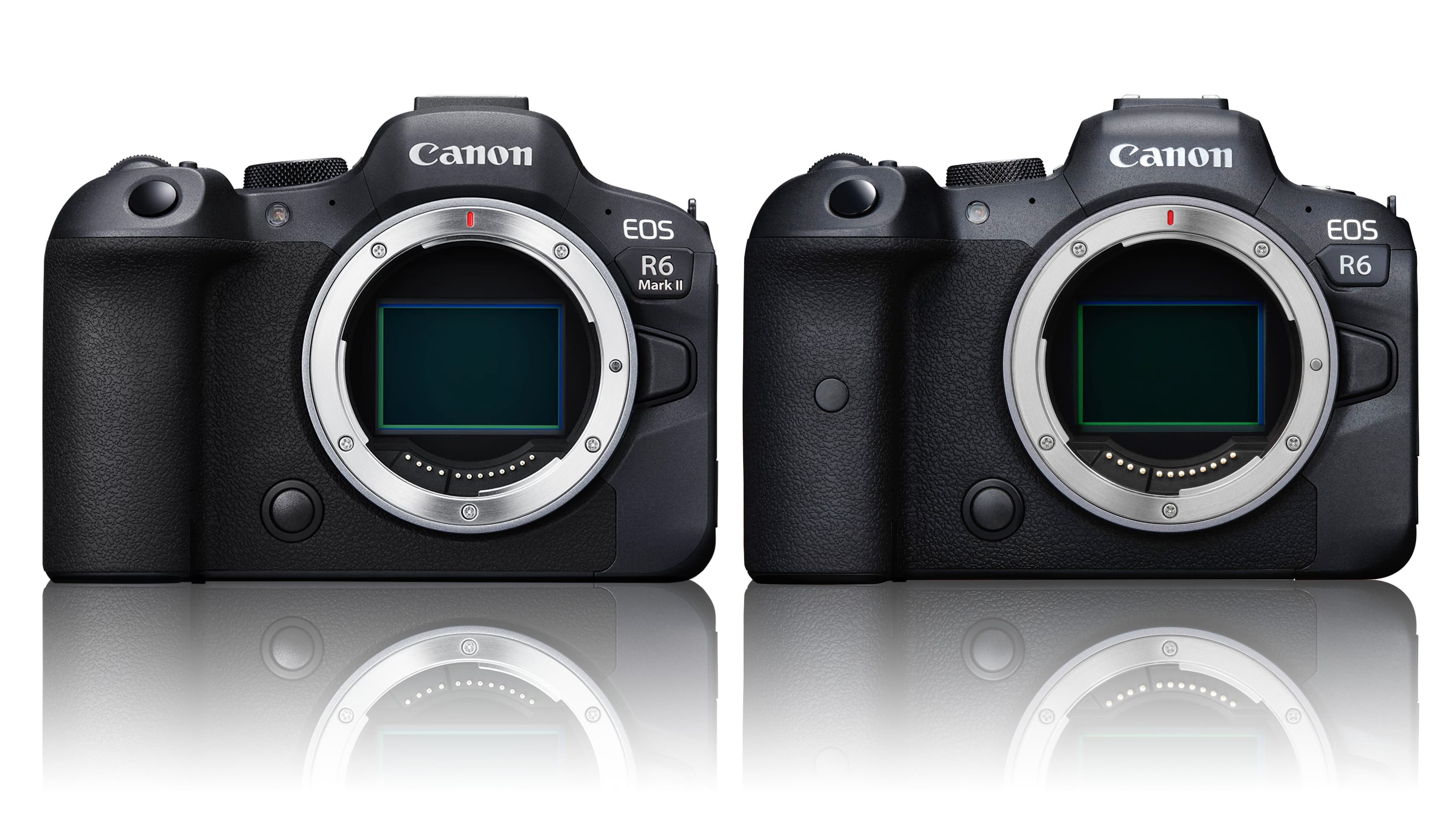 Canon R6 vs R6 Mark II: original EOS R6 or the new EOS R6 II? | Digital  Camera World