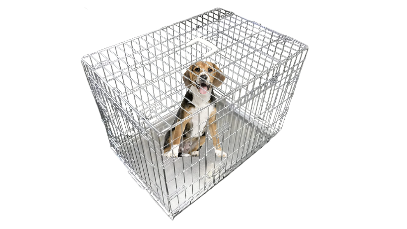 Best dog crates: Ellie-Bo