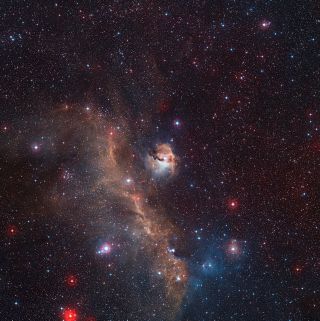 This wide-field view captures the star formation region of the Seagull Nebula (IC 2177), on the borders of the constellations Monoceros and Canis Major. This view was created from images forming part of the Digitized Sky Survey 2.
