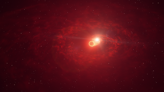 An artist's depiction of the white dwarf and companion star at the heart of RS Ophiuchi.