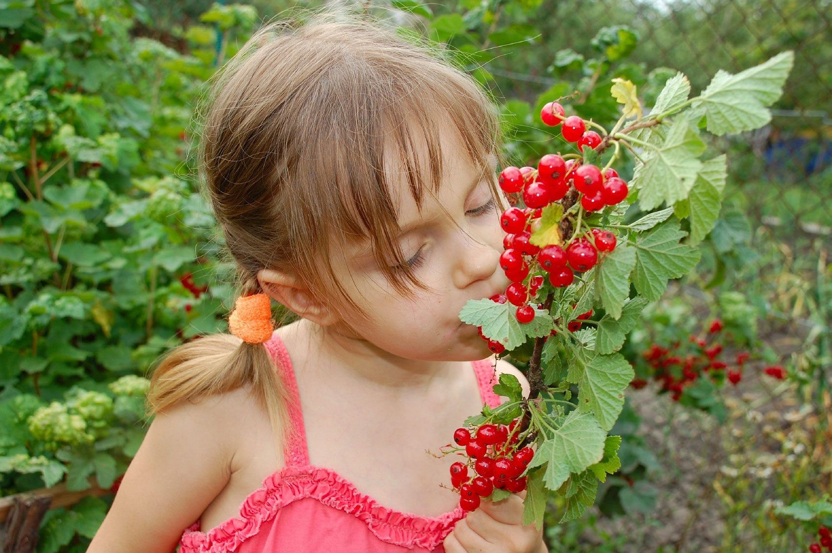 Special Needs Garden Ideas: Designing Gardens For Kids With