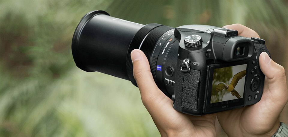 A person taking a picture of a bird in a jungle using the best travel camera