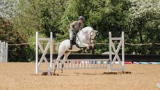 working equitation