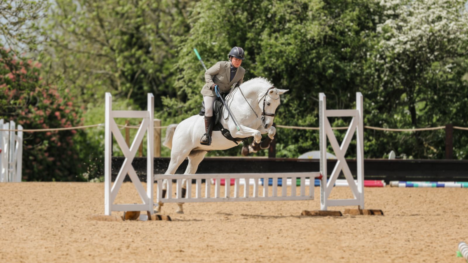 working equitation