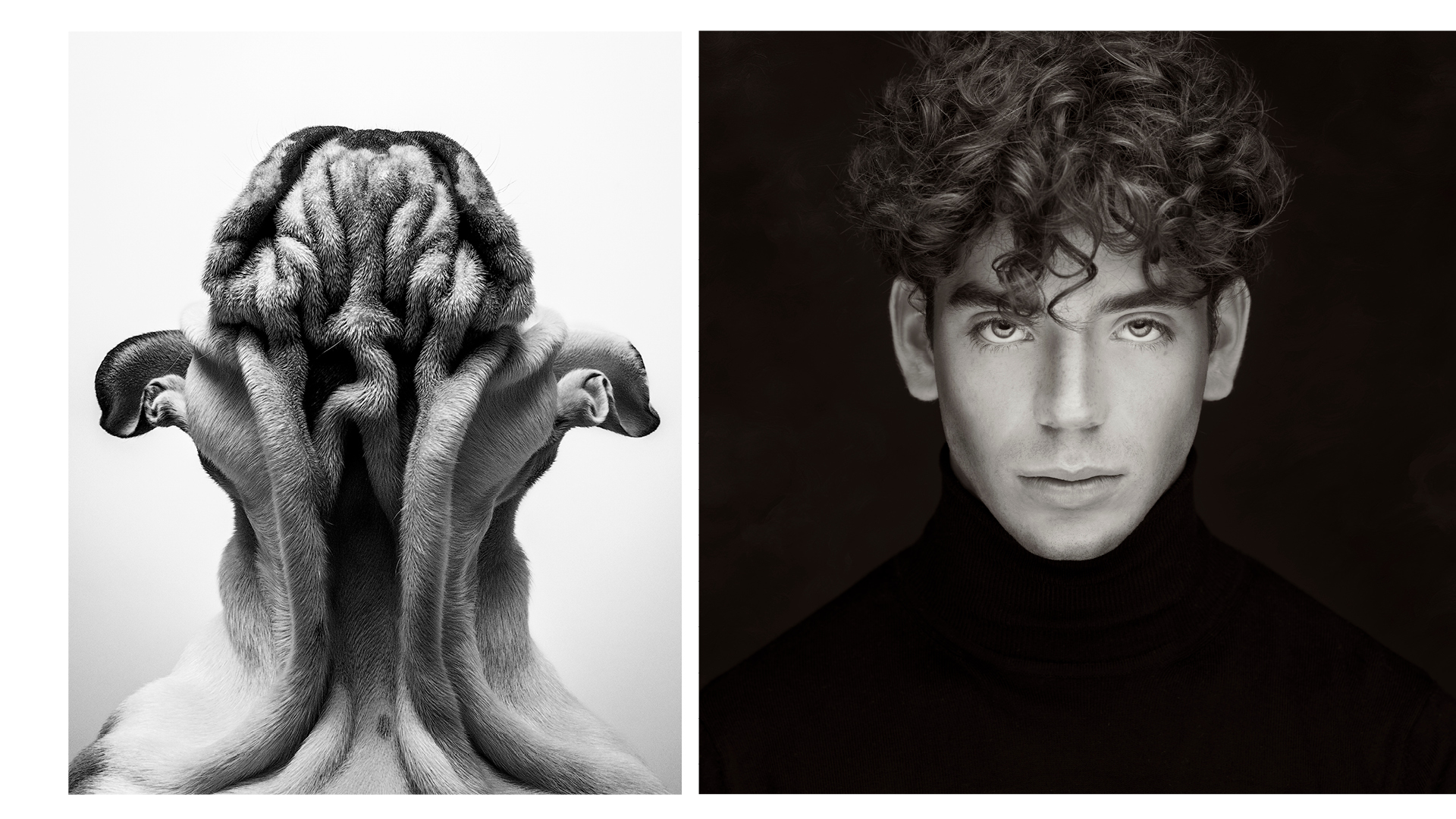 Montage of two photographs to have won the BIPP International Print Masters competition recently: Su Kaye, the winner in 2022 (left), for her photograph of the back of a dog's head; and Stephanie Thornton, the winner in 2024 (right), for her photo of a man's face captured in the low-key photography style.