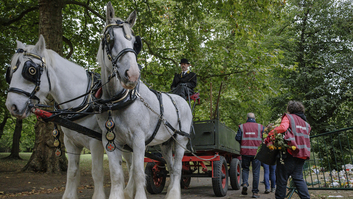 Floral Tributes Left For Queen Elizabeth II Are Removed From Green Park