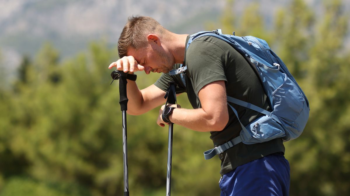 Hundreds of Grand Canyon hikers struck down by vomiting bug – how to avoid it