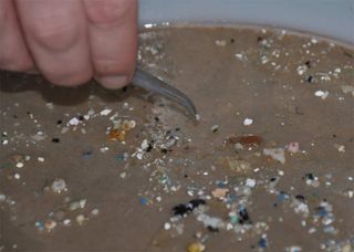 Pieces of plastic debris found in the oceans are smaller than many people think. Most are measured in millimeters.