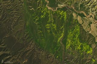 An explosion of wildflowers is visible in this close-up view of Southern California from the Landsat 8 satellite's Operational Land imager, taken March 18, 2019.