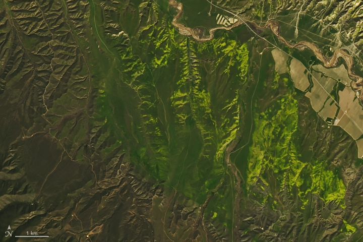 An explosion of wildflowers is visible in this close-up view of Southern California from the Landsat 8 satellite's Operational Land imager, taken March 18, 2019.