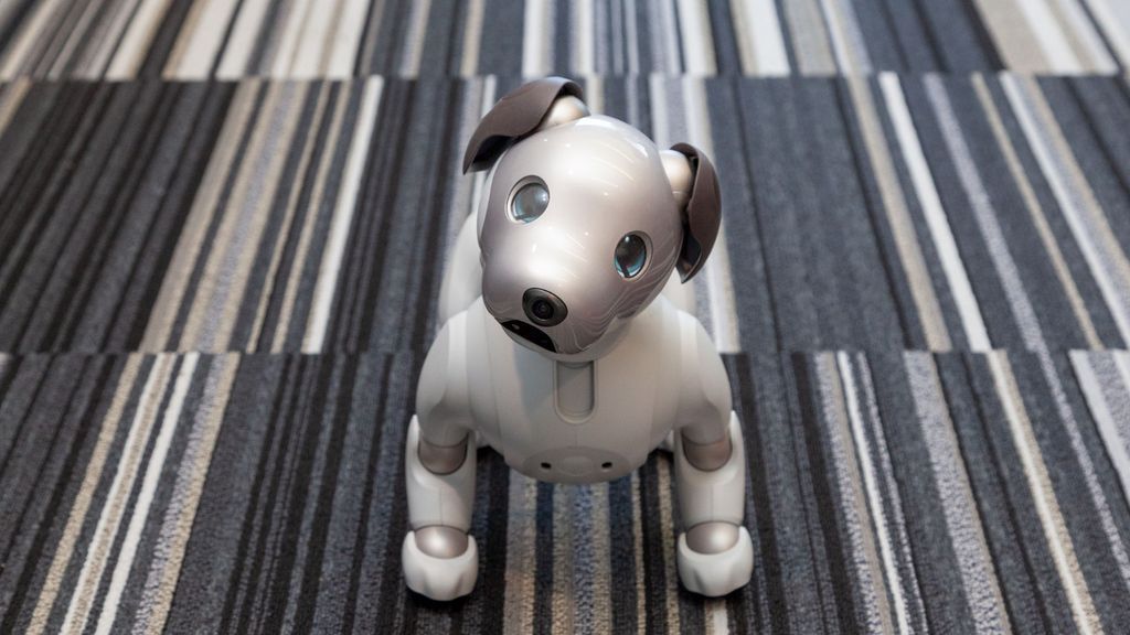 Sony Aibo Review: What It’s Like To Live With A $2,900 Robot Dog | Tom ...