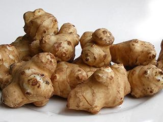 25 Live Jerusalem Artichoke Tubers | Sunchokes by Greenhouse Pca | Fresh Sunchoke Bulbs for Eating or Planting