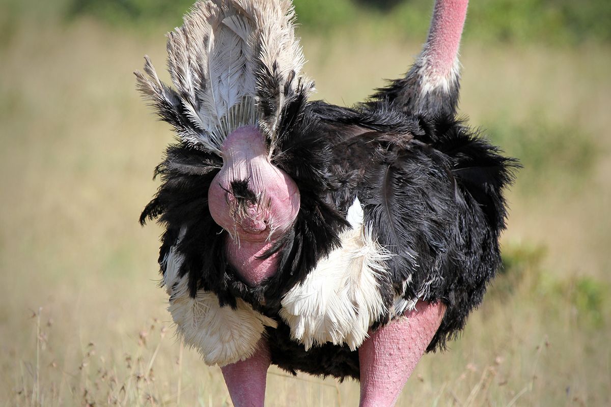 The 10 Best Science Hashtags of 2017 Live Science