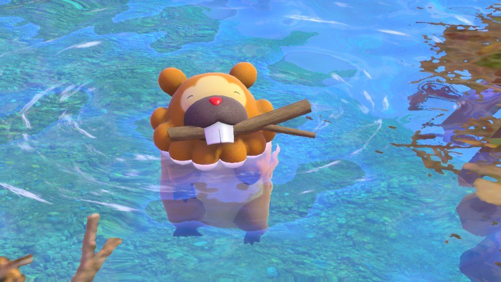 Bidoof Swimming