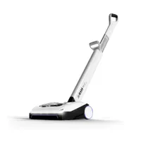 Gtech AirRAM Platinum