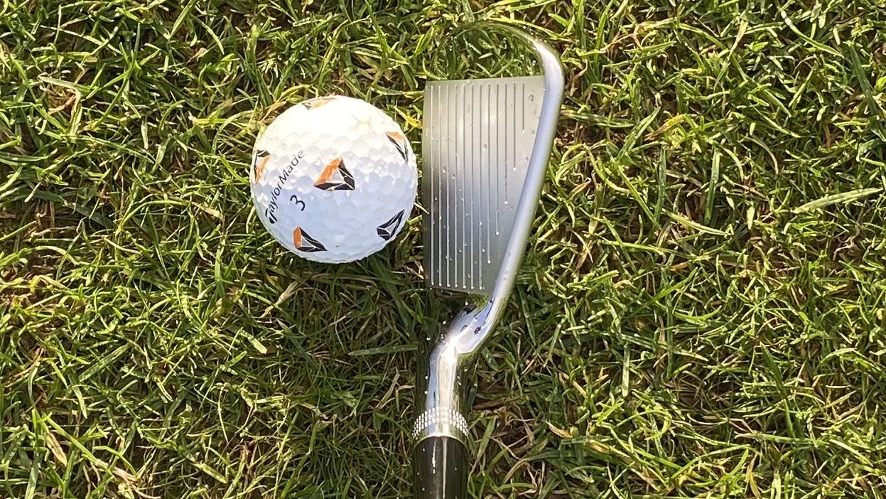 Photo of the Wilson Staff Model CB Iron