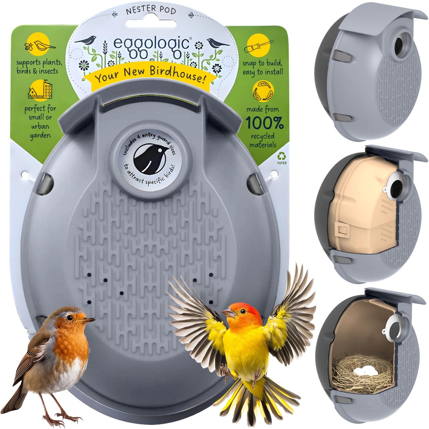 Eggologic Nester Pod - Perch Free Vertical Bird Box for Wild Birds &amp;ndash; Sparrow and Blue Tit Bird House, Bird Houses for Garden Made From 100% Recycled Materials for Strength and Durability &amp;ndash; Stone Gray