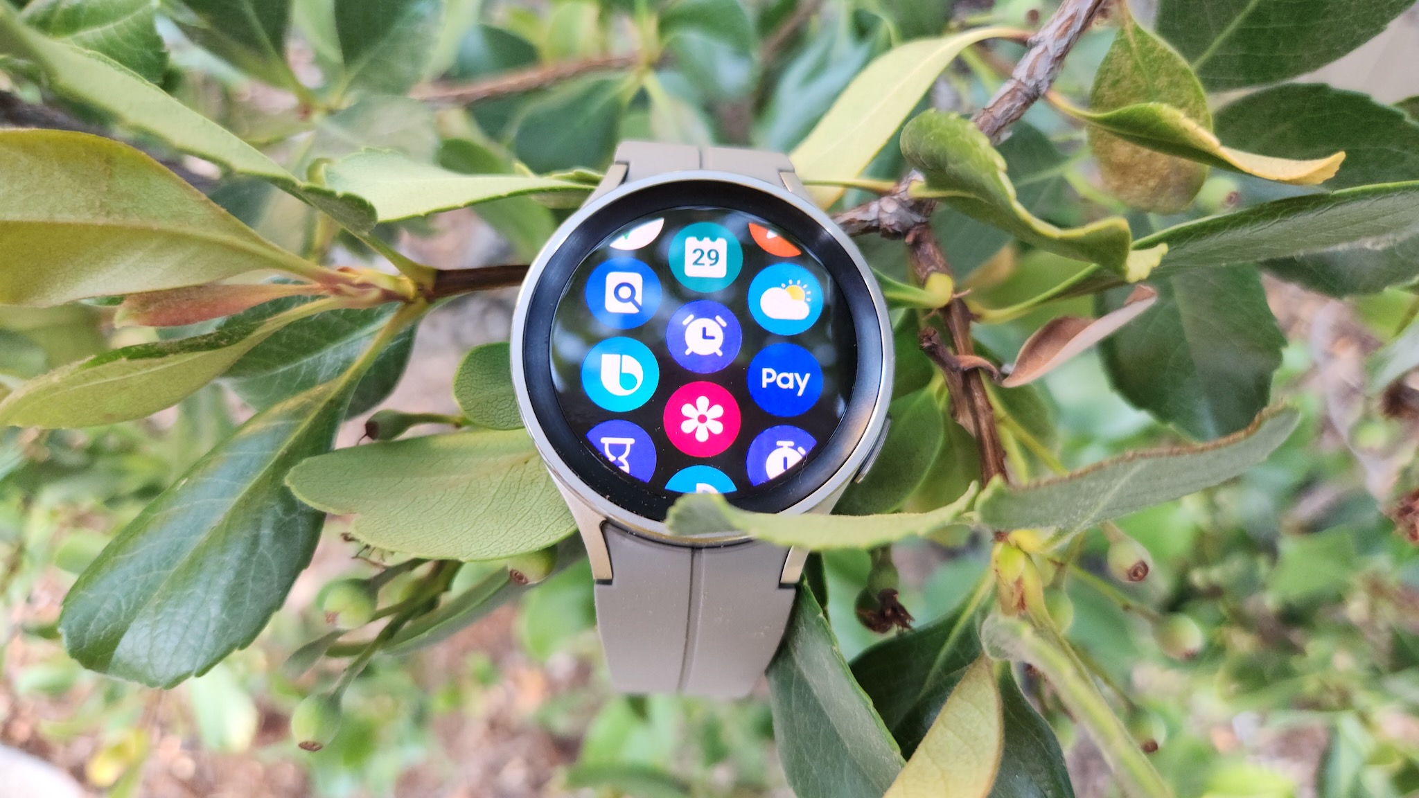 Samsung Galaxy Watch 5 Pro sentado sobre hojas de árboles, mostrando mosaicos de aplicaciones.