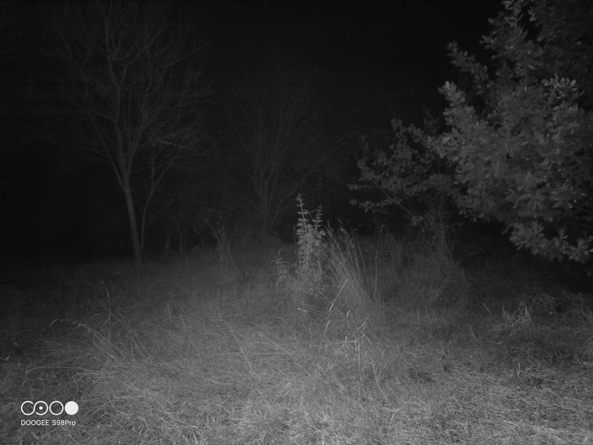 DOOGEE S98 Pro review: Night Vision Camera