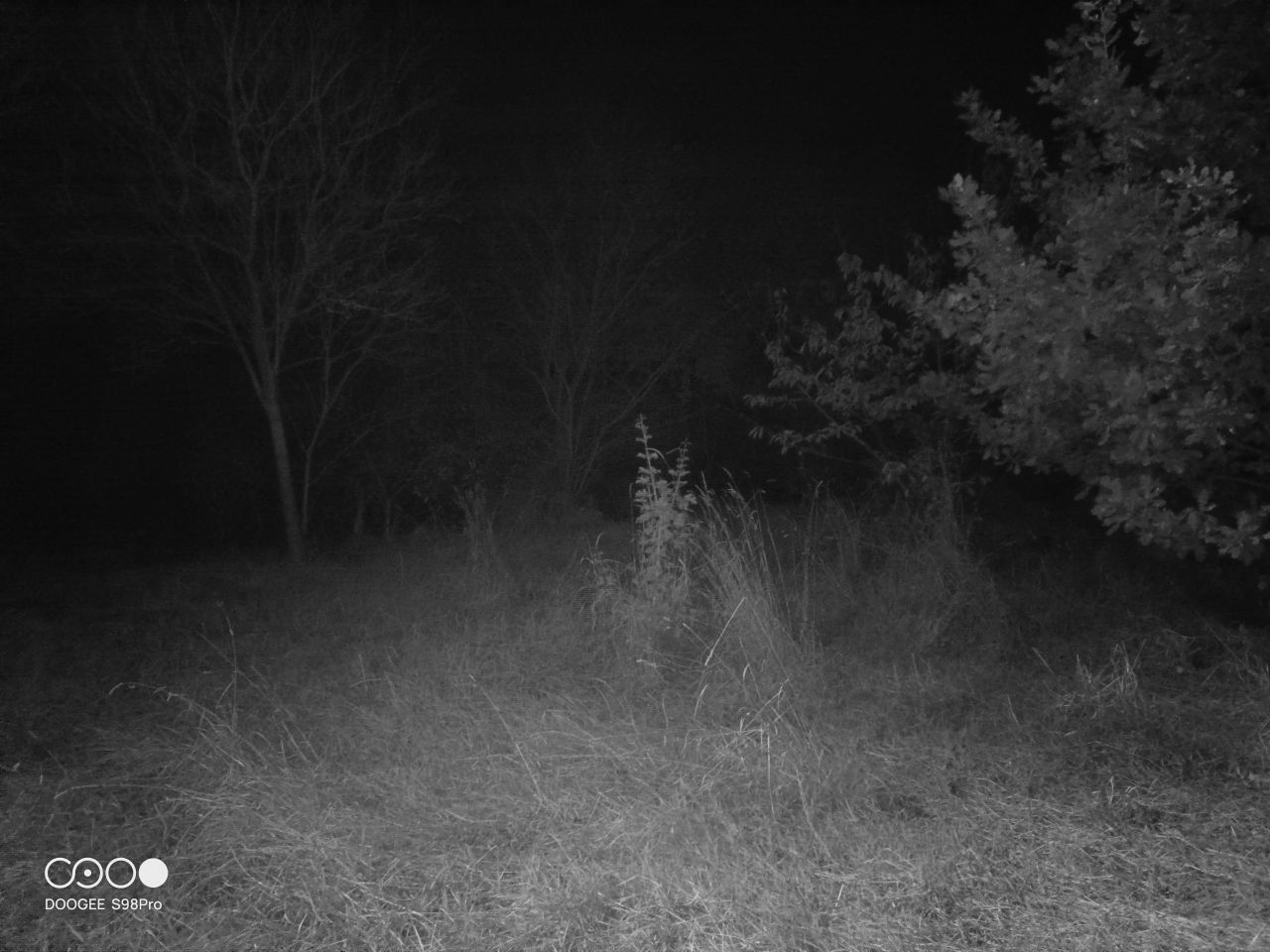 DOOGEE S98 Pro review: Night Vision Camera