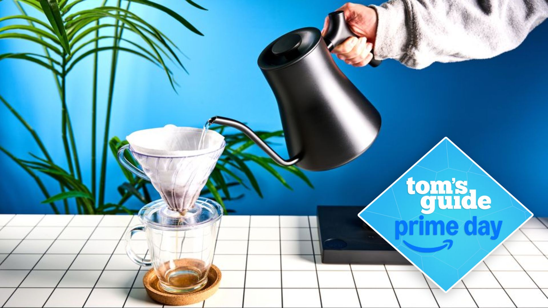 Prime Day Fellow deals
