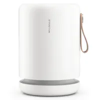 Molekule Air Mini+ | $359.99 at Molekule