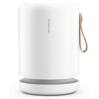 Molekule Air Mini+ Air Purifier