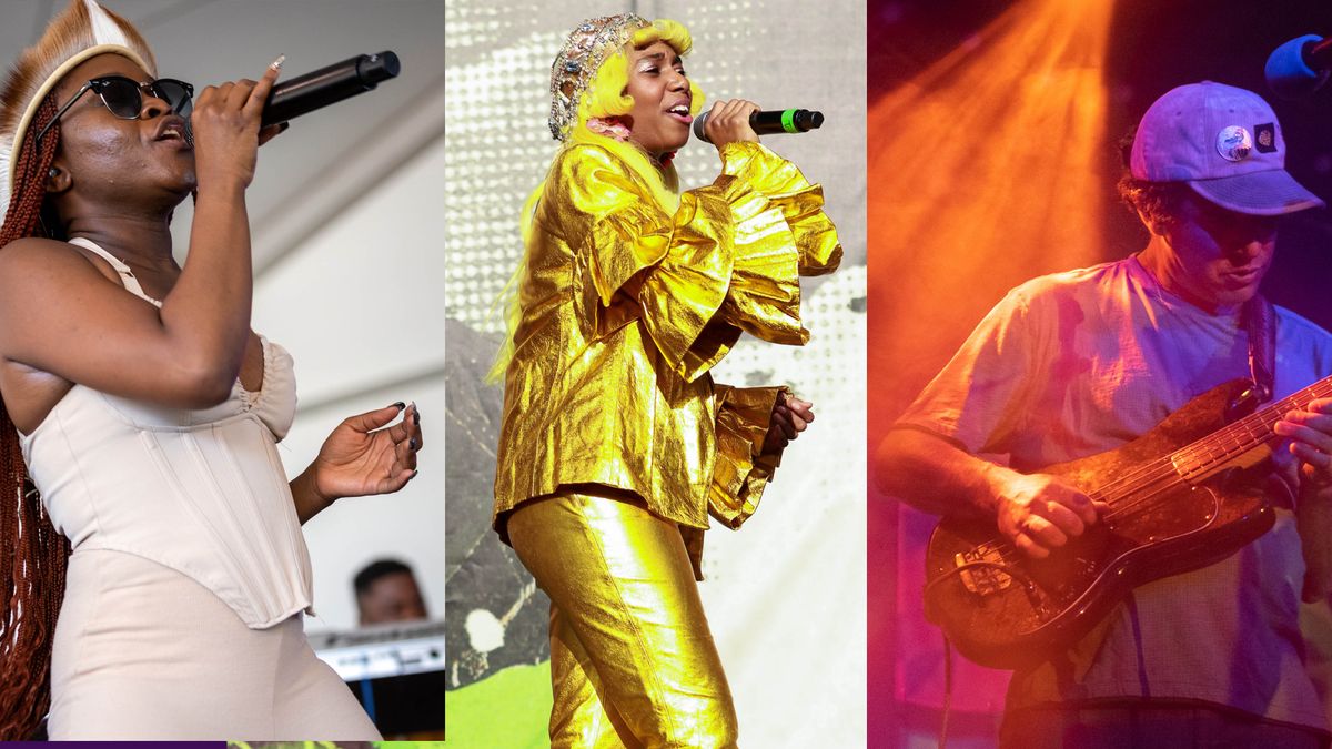 santigold, sampa the great and animal collective comp