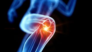 Image of knee joint anatomy: best knee strengthening exercises