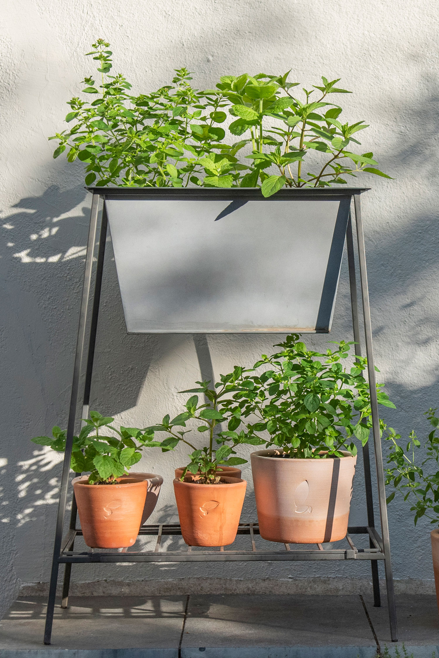 small backyard ideas