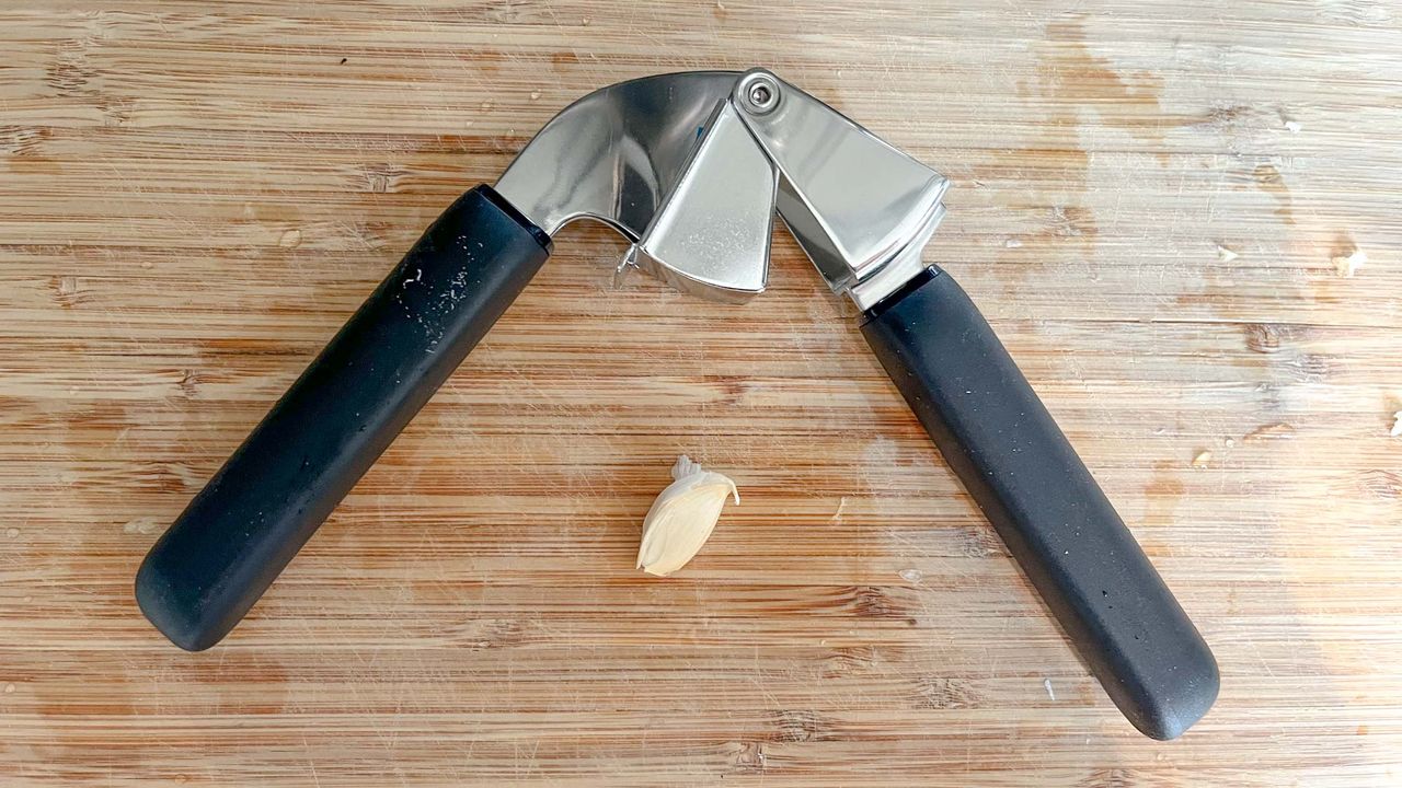 OXO Good Grips Soft Handled Garlic Press