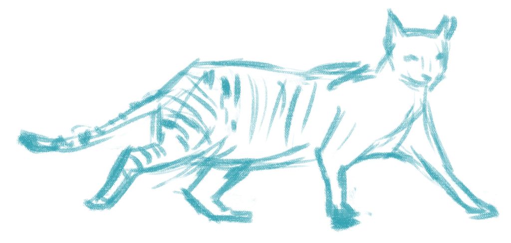 How to draw a cat | Creative Bloq