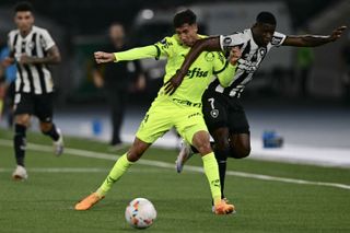 Palmeiras defender Vitor Reis holds off Botafogo's Luiz Henrique in a Copa Libertadores game in August 2024.