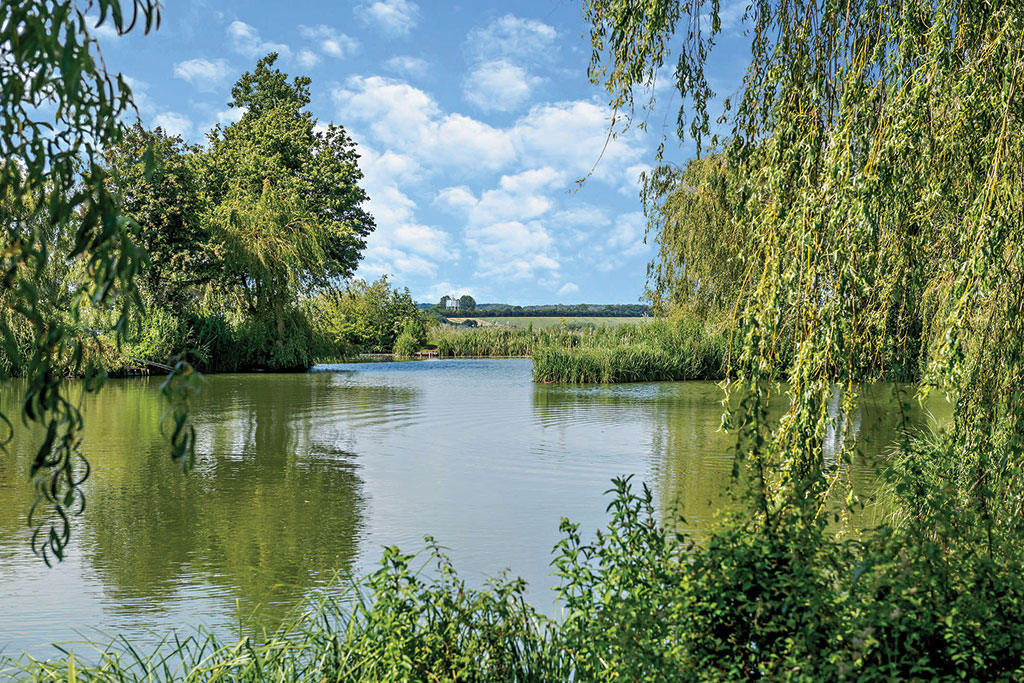 House for sale with fishing rights: Mill Lane Farm, Weybread Lakes, Diss, Norfolk.