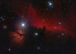 The very bright star at center left in this image is Alnitak, the easternmost star in Orion's belt. A large aperture telescope, or a long exposure image of the area, reveals the spectacular Horsehead Nebula (to Alnitak's right) and the Flame Nebula (below Alnitak). The horse's head is opaque dust obscuring the glowing red hydrogen gas beyond it. The bright star at top center is part of the beautiful Sigma Orionis multiple star system, which is easily seen in backyard telescopes. Image by Ron Brecher of Guelph, Ontario.