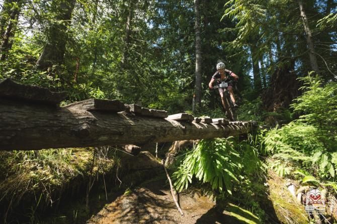 Wooden bridges are not something to fear or hesitate on.