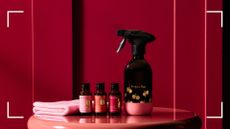 The spray, concentrates, base, and cloth in the Purdy & Figg x CoppaFeel! displayed in a pink room