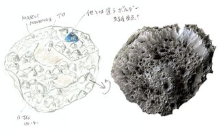 Asteroid Ryugu