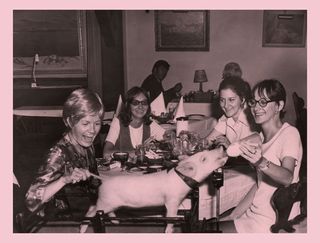 Image of a piglet being bottle-fed in a restaurant