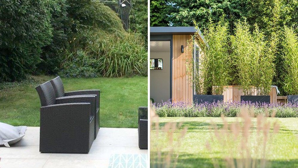 garden with grass lawn green plants and purple flowers